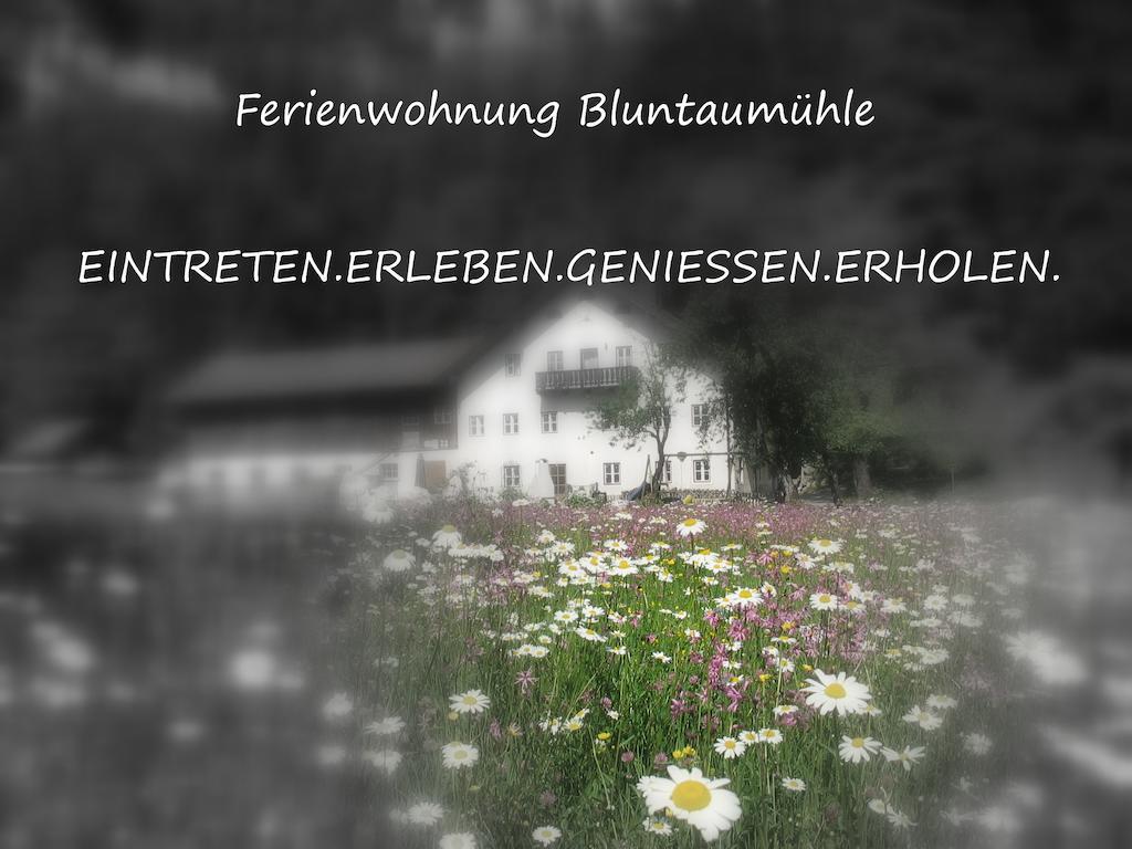 Ferienwohnung Bluntaumuehle 골링안데살자흐 객실 사진